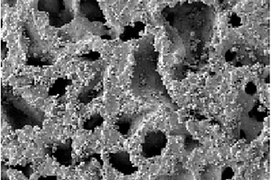 多孔钛硅合金的制备方法