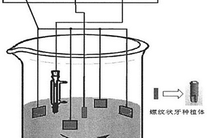 牙种植体表面改性的一种方法