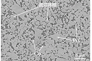 具有高弹性模量的硬质合金及其制备方法