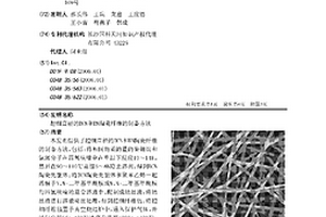 超细直径的BCN和BN陶瓷纤维的制备方法