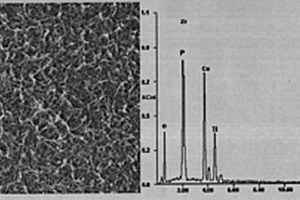 医用钛表面制备羟基磷灰石/氧化锆梯度涂层的电化学方法