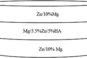 锌镁功能梯度生物复合材料的制备方法