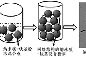 网络结构的纳米碳-钛基复合粉末及其应用