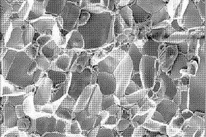 细晶粒各向异性致密化钕铁硼永磁体的制备方法