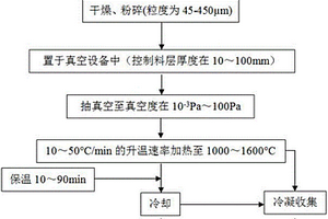 真空强化高硫石油焦脱硫的方法