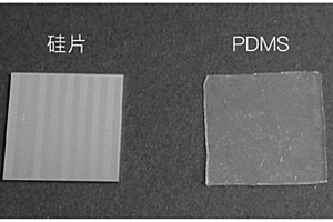 具有长程取向结构或复杂结构的多孔材料的制备方法