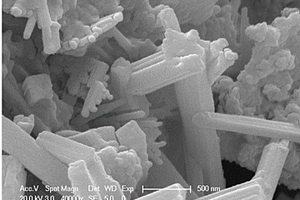 花瓣状MoS2-Mn3O4纳米线磁性复合材料的制备方法及应用