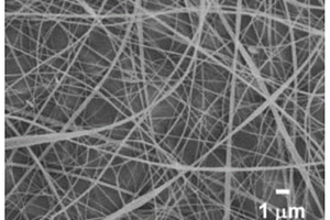 纳米纤维及其制备方法和应用