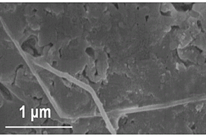 氮化硅和碳纳米管纤维的复合材料及其制备方法