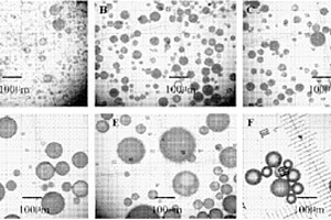 制备粒细胞-巨噬细胞集落刺激因子微球的方法