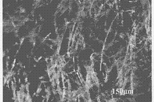 微纤结构化微米尺度颗粒的多孔复合材料及其制备方法