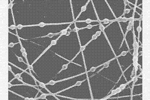 微纳米尺度下核壳结构复合纤维及其制备方法