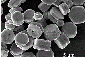 磁性掺杂的氧化锌微米结构及其制备方法