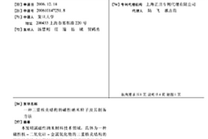 三重核壳结构的磁性纳米粒子及其制备方法