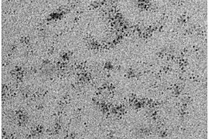 壳聚糖负载铜络合物的纳米复合光热试剂及其制备方法