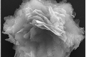 纳米颗粒自组装芍药状La3+掺杂ZnO及其制备方法和应用