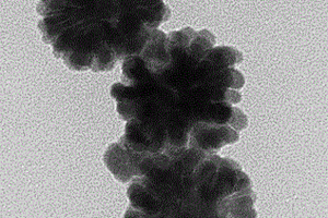 花簇状稀土上转换核壳纳米发光材料及其制备方法