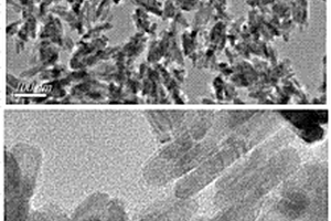 ZnO纳米棒分子印迹荧光传感器及其制备方法和应用