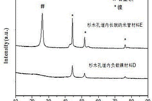 生物质基大孔内生长碳纳米管的功能材料的制备方法及其应用