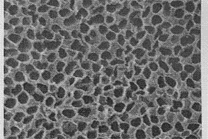 制备高比表面碳化硅纳米管的方法