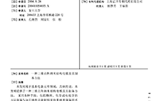 三维点阵纳米结构电极及其制备方法