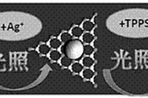 分步光催化制备四(对磺酸基苯基)卟啉银/银/氮化碳纳米片复合材料的方法