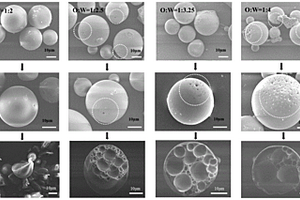 冠醚功能化多孔多空腔微球吸附剂的制备方法及其应用于锂离子吸附