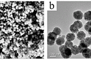 Cu2+-EDTA-Fe3O4磁粒及制备方法与应用