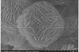 超薄纳米片组装的纳米花状钨酸镁材料的制备方法
