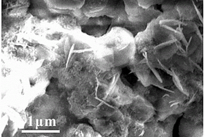 铝酸锂纳米片多功能复合涂料
