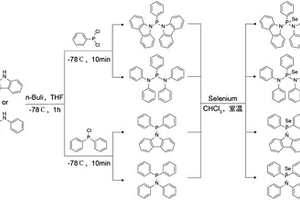 含硒原子的荧光探针及其制备方法与应用