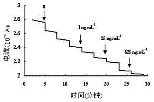 通用型抗生素检测传感器的制备方法及其应用