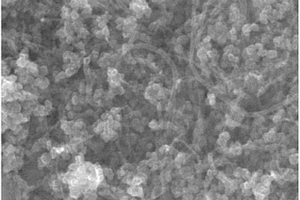 碳纳米管固载季铵盐磁性功能材料及其制备方法和应用