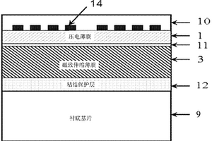 磁声表面波磁场传感器及其制备方法