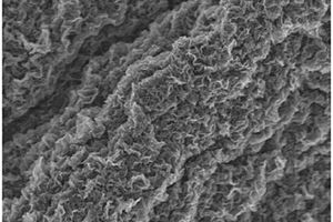 高密度氮掺杂石墨烯及其制备方法和应用