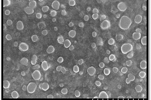以壳聚糖-TPP-KGM为复合壁材的纳米微囊的制备方法