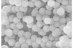 粒径大于四百纳米的球形MCM-41分子筛及其合成方法