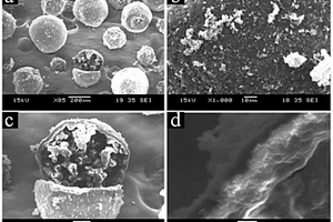 反应性液态芯材的导电聚合物微胶囊及其制备方法