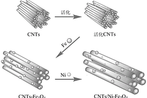 CNTs/Ni-Fe<Sub>3</Sub>O<Sub>4</Sub>功能材料的制备方法