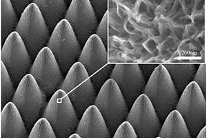 纳米结构三维分布的超双疏金属表面及其制备方法