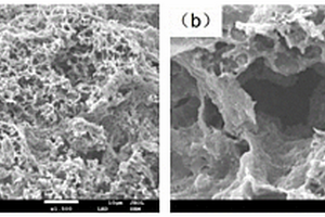 分级孔型生物质碳气凝胶材料的制备方法