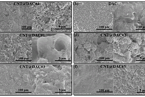 碳纳米管/微晶纤维素复合膜及其制备方法和应用