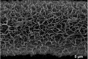 氮掺杂多孔垂直石墨烯纳米墙阵列及其制备方法与应用