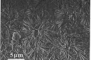 纳米针状结构钒酸锰自清洁涂料