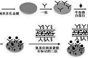 基于氨基化钠基蒙脱石的肿瘤标志物传感器的制备及应用