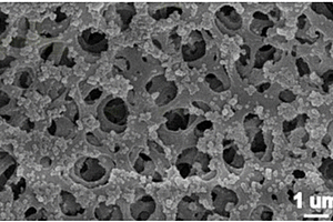 大黄素分子印迹二氧化硅纳米粒子复合膜及其制备方法与应用