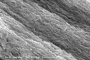 类泡沫氧化亚钴纳米材料及其制备方法