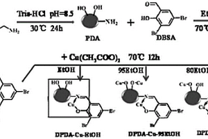 聚多巴胺席夫碱-铜配合物催化剂及其制备方法与应用