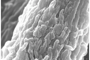 高温可吸附的多孔聚酰亚胺纳米纤维及其制备方法和应用