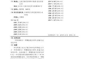 纳米粒子/聚酰胺复合材料、制备方法及其应用